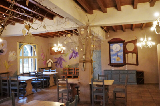 Hotel Baldo - photo 7