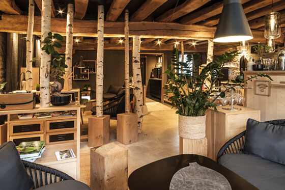 Le Domaine des Prés Verts & Spa - photo 3