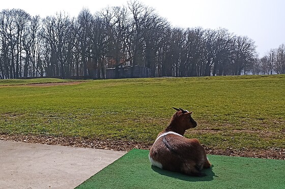 Golf des sarrays - photo 5