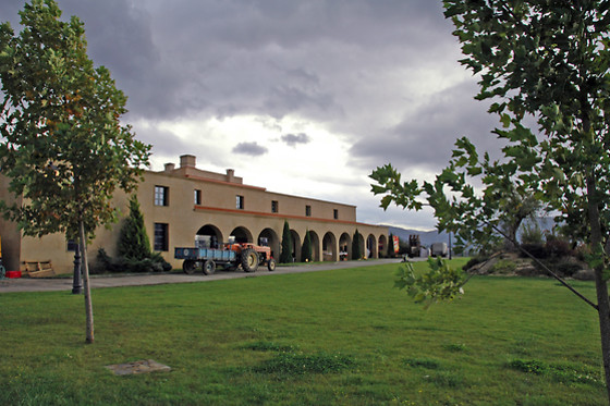 BODEGAS REGINA VIARUM - photo 6