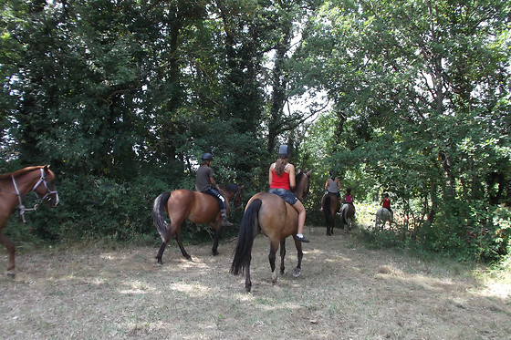 Un Poney, une histoire - photo 5