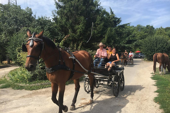 Ecurie Denogent  Club du Lys - photo 4