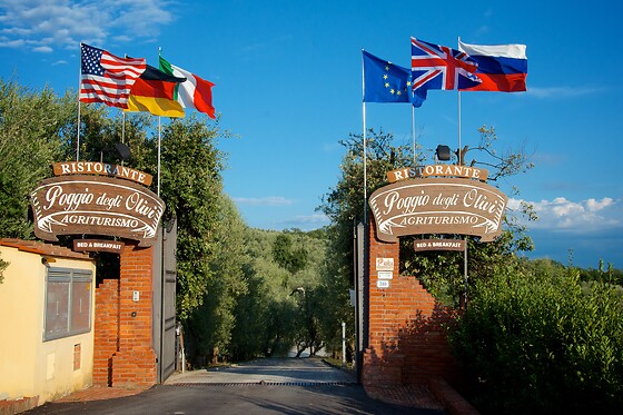 Poggio Degli Olivi - photo 1