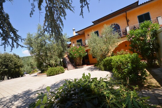 Poggio Degli Olivi - photo 0