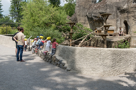 Parc zoologique de Maubeuge - photo 16