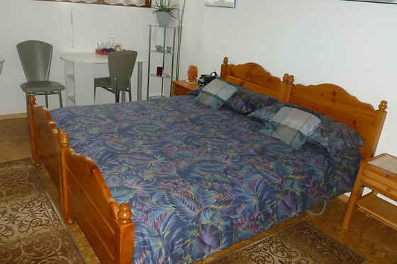 Delphenix B&B - Centro Talassoterapia Antismoking - photo 4