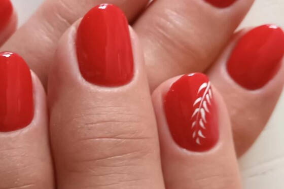 Toute en Beauté - photo 12