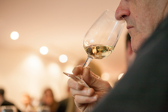 Vino Cado - photo 1