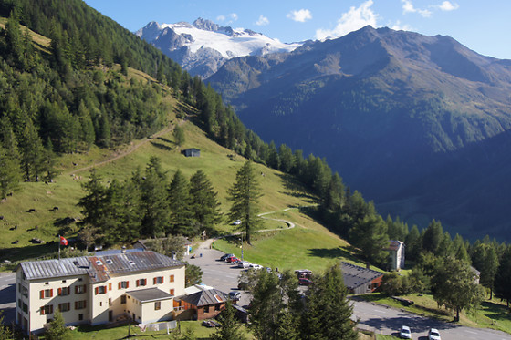 Hotel du Col de la Forclaz - photo 15