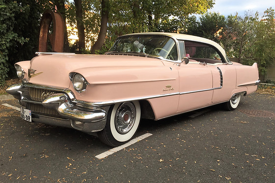 Cady Cruise - photo 1