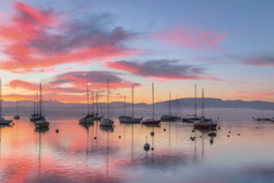 La Dame du Lac - Nuit insolite - photo 0