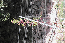 Cave Boléro