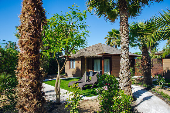 ALANNIA COSTA BLANCA - photo 0