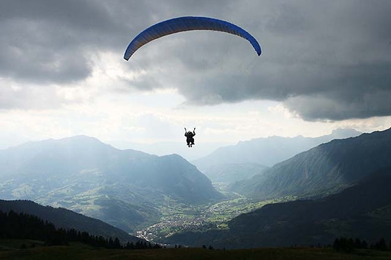 Les Volatiles - photo 10