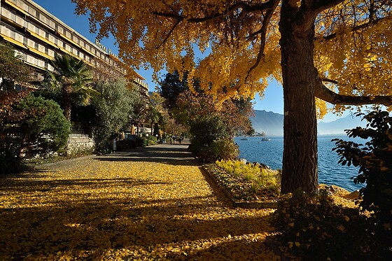 Royal Plaza Montreux***** - photo 4