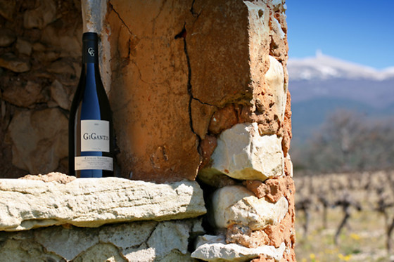 Vignerons du Mont Ventoux - photo 4