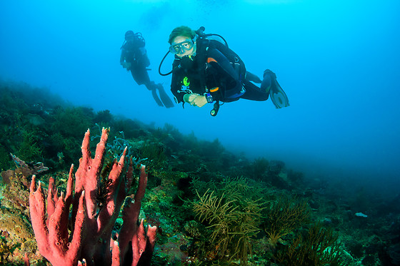 ANTHIA DIVING CENTER - photo 4