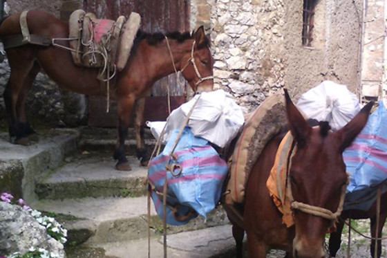 B&B Rupe Antica - photo 3