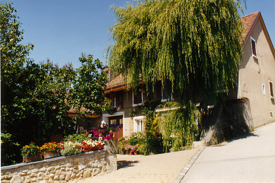 Domaine de Chantemerle - photo 1