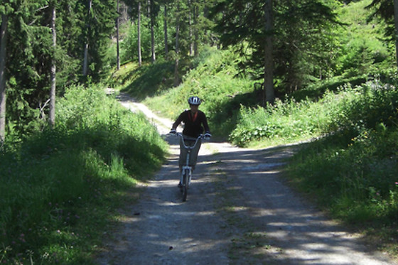 Paintball - Alp Trottinette - photo 2