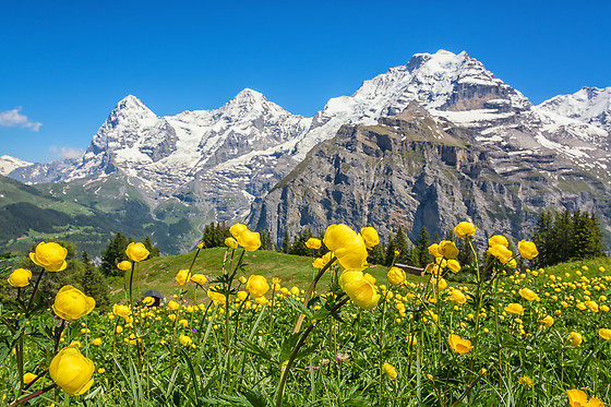 Fabelhafte Schweiz