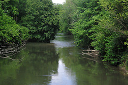 CANOËS DU RIED