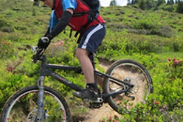 Adventure Bike