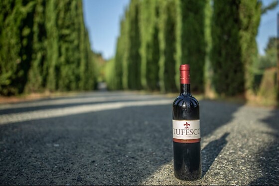 Tenuta Moriano - photo 5