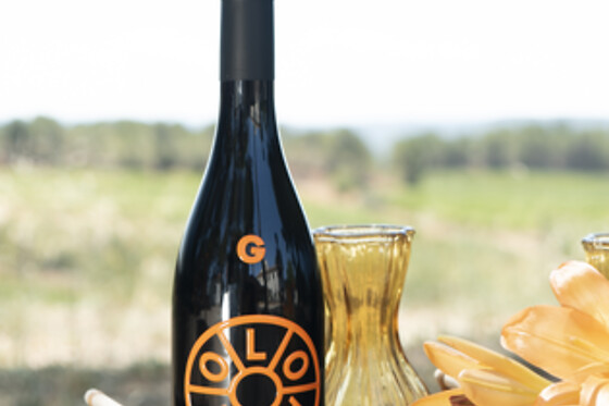 BODEGAS LOALTO - photo 3