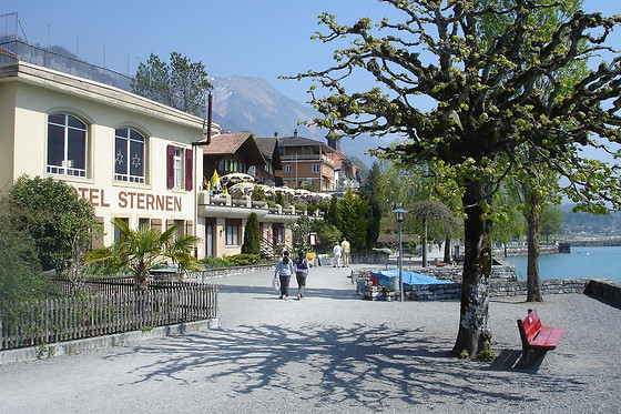 Seehotel Sternen Brienz - photo 20