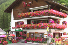 Hôtel Les Mélèzes***