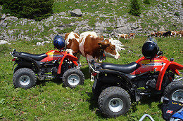 QUADTOUREN BERNER OBERLAND