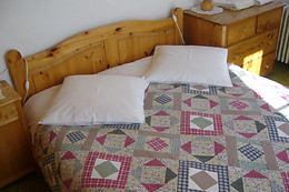 Hôtel-Restaurant Aiguille de la Tza