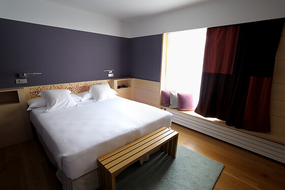 HOTEL RESORT BALNEARIO DE PANTICOSA - photo 29
