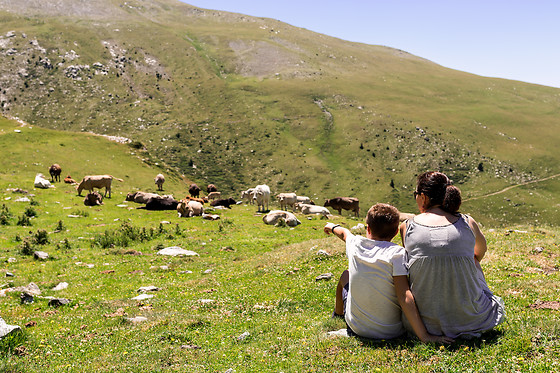 Il Trattore Bed & Breakfast - photo 3