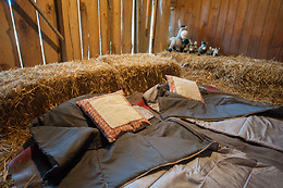 Eselhof Säge