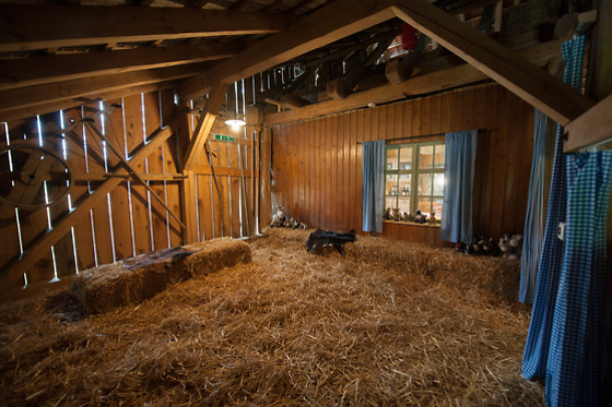 Eselhof Säge - photo 20