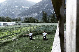 Swiss Dojo