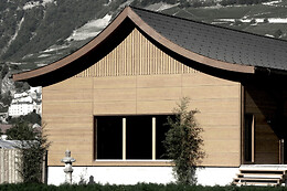 Swiss Dojo
