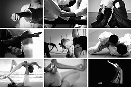 Swiss Dojo