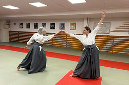 Swiss Dojo