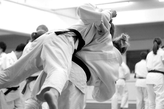 Swiss Dojo - photo 8