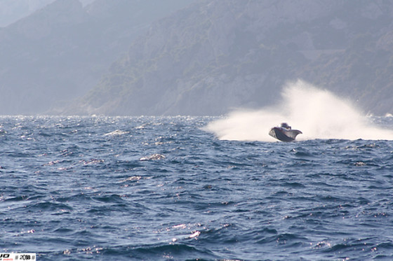 Frojo Powerboat Events - photo 1