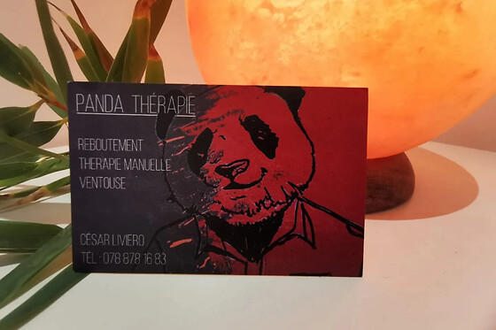 PandaThérapie - photo 1