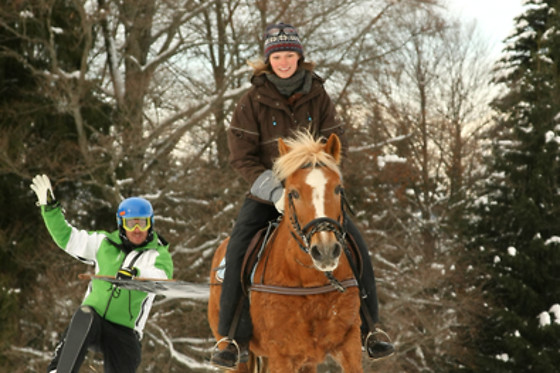Happy Horses - photo 1