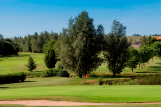 Ugolf Metz - photo 10