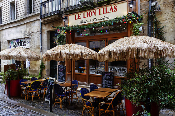 Le Lion Lilas - photo 12
