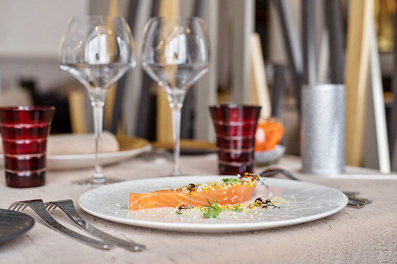 Amphitryon Capucine - photo 8