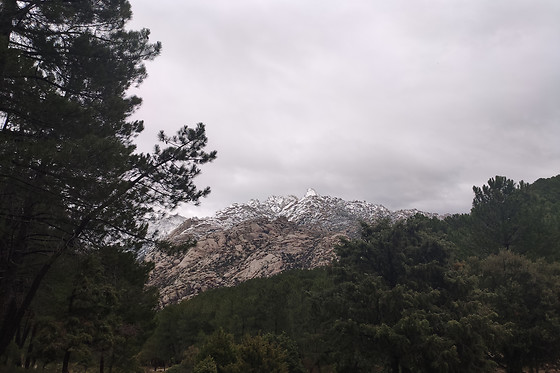 NATURANDA - photo 15