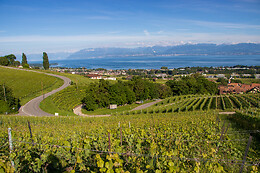 Domaine de Chantemerle